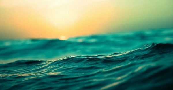 Waiting for the Dawn… When choosing between staking and LP becomes a nightmare