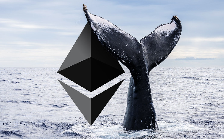 Massive Whale Trades 10.000 Ethereum After Grayscale Wins the Lawsuit