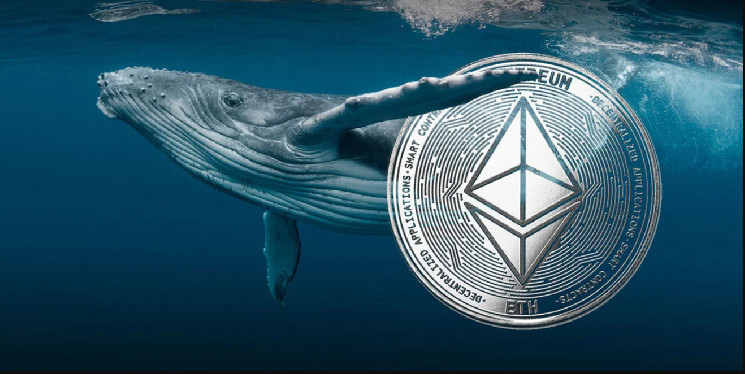 Ethereum (ETH) Whale with 100 Percent Winning Rate Started Buying Altcoins Again!