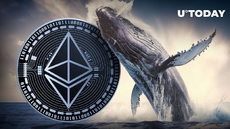 Another Dormant Ethereum Whale With Pre-Mined ETH Suddenly Wakes Up